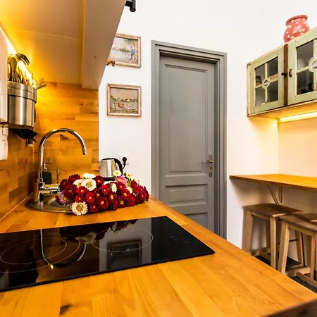 Chestnut Garden In Historic Downtown With Ac Lejlighed *